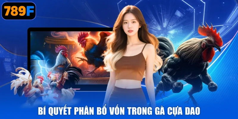 Bí quyết phân bổ vốn trong gà cựa dao