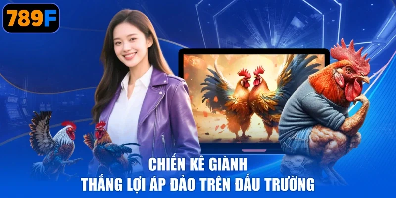 Chiến kê giành thắng lợi áp đảo trên đấu trường
