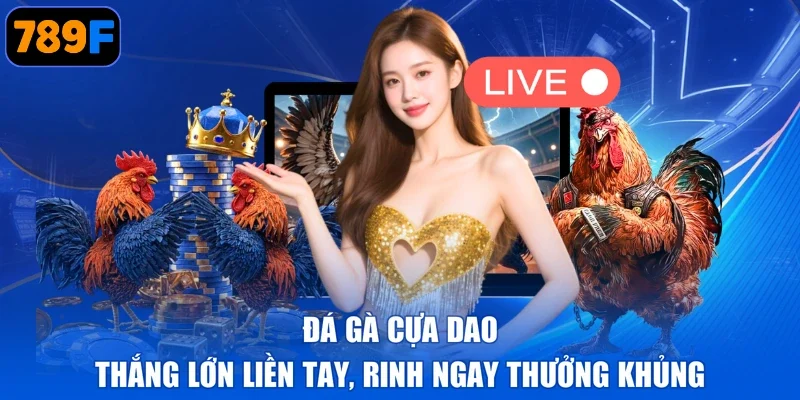 Đá Gà Cựa Dao - Thắng Lớn Liền Tay, Rinh Ngay Thưởng Khủng