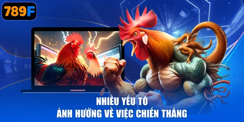 Nhiều yếu tố ảnh hưởng về việc chiến thắng